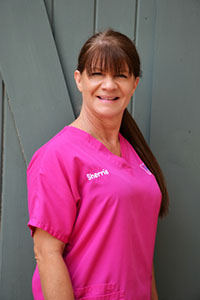 staff photo